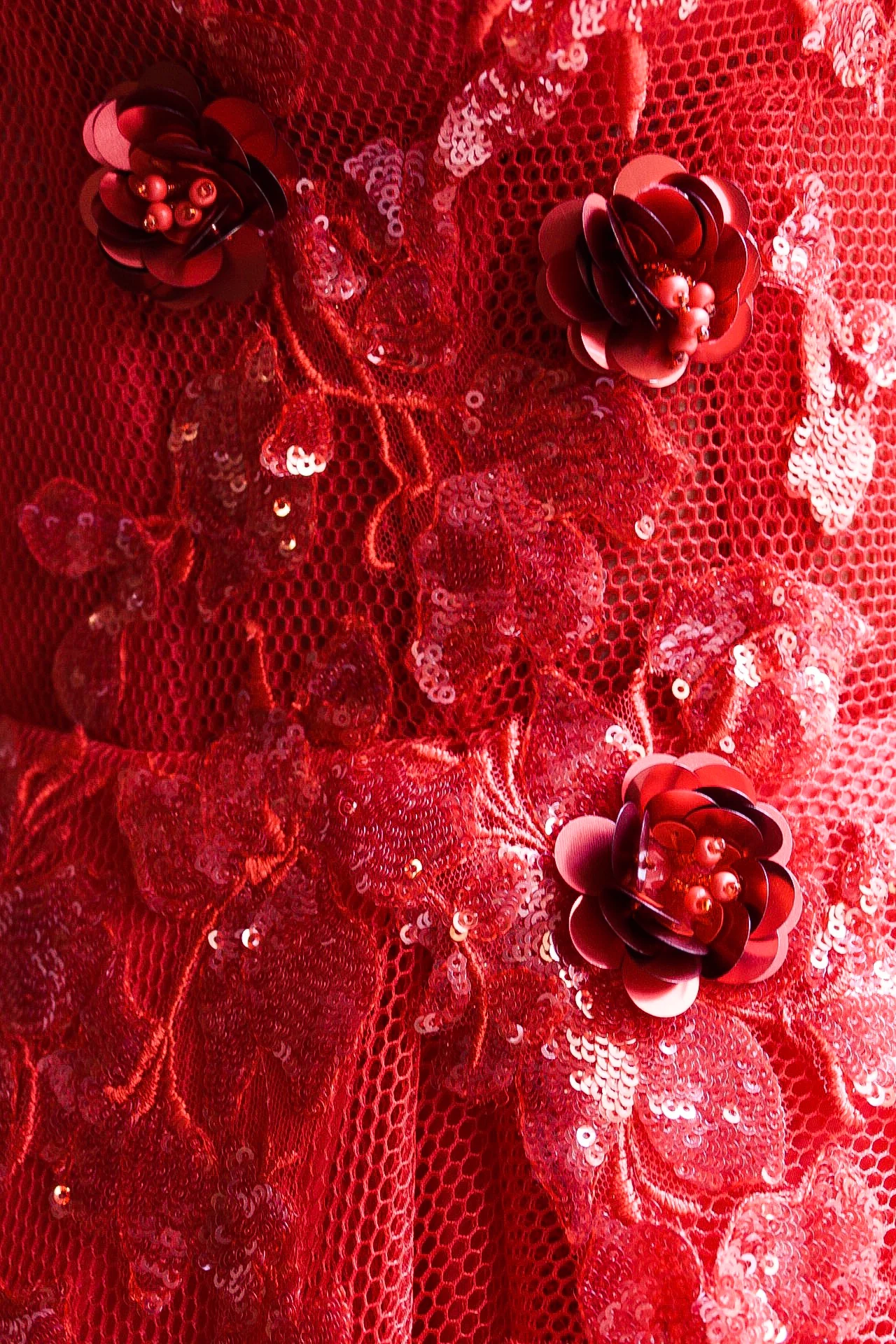 Princess Carmine Gown - Image 3