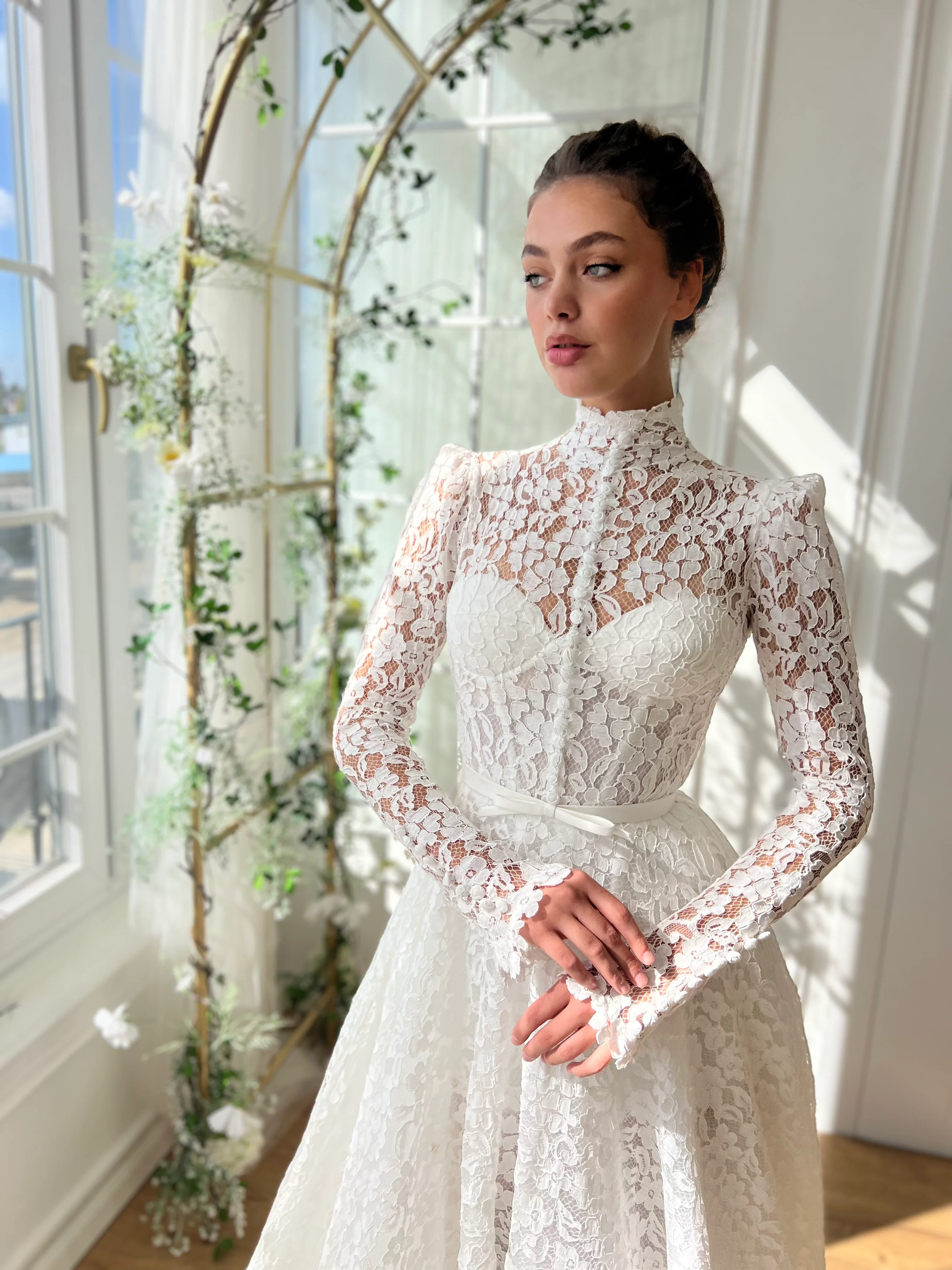 Soft Echoes of Lace Gown - Image 3